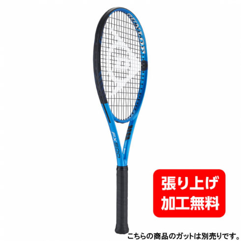 ダンロップ FX 500 DS22301 [ブルー×ブラック] (テニスラケット) 価格 