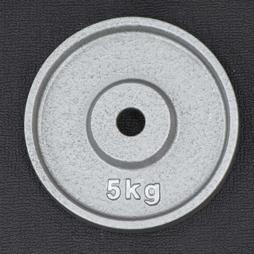 ティゴラ 着脱式バーベルプレート 5kg バーベルトレーニング ウェイトトレーニング TIGORA｜公式通販 アルペングループ オンラインストア